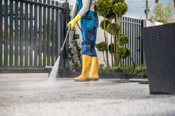 Best Fence Cleaning  in Chehalis, WA